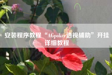安装程序教程“AGpoker透视辅助”开挂详细教程