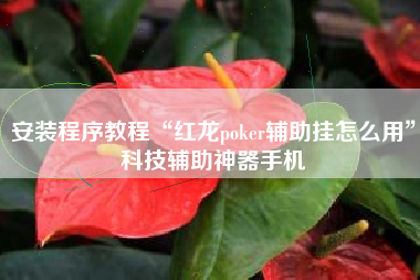 安装程序教程“红龙poker辅助挂怎么用	”科技辅助神器手机