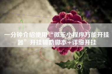 一分钟介绍使用“微乐小程序万能开挂器”开挂辅助脚本+详细开挂