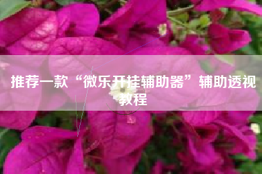 推荐一款“微乐开挂辅助器”辅助透视教程