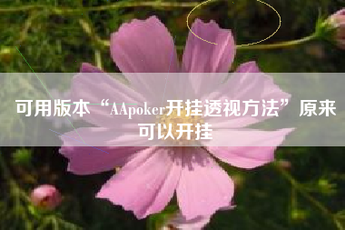 可用版本“AApoker开挂透视方法”原来可以开挂