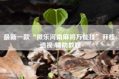 最新一款“微乐河南麻将万能挂”开挂(透视)辅助教程
