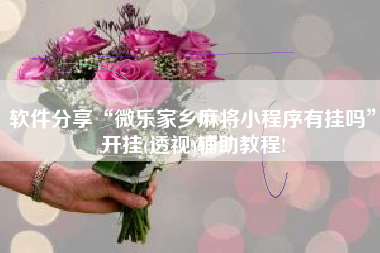 软件分享“微乐家乡麻将小程序有挂吗”开挂(透视)辅助教程!