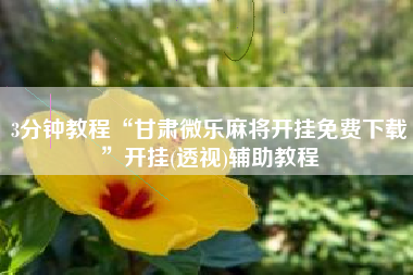 3分钟教程“甘肃微乐麻将开挂免费下载	”开挂(透视)辅助教程