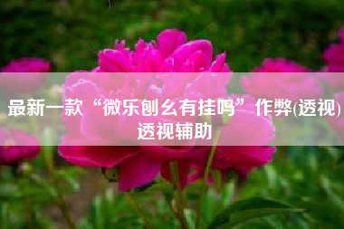 最新一款“微乐刨幺有挂吗	”作弊(透视)透视辅助