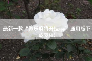 最新一款“微乐麻将开挂app”通用版下载教程!