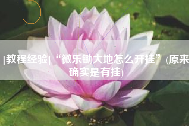 [教程经验]“微乐锄大地怎么开挂	”(原来确实是有挂)