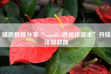 辅助教程分享“wepoker透视挂脚本”开挂详细教程