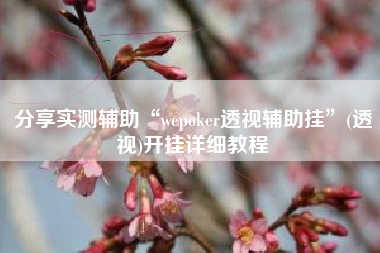 分享实测辅助“wepoker透视辅助挂	”(透视)开挂详细教程