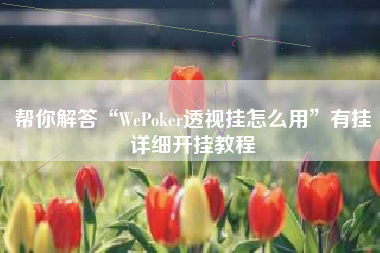 帮你解答“WePoker透视挂怎么用”有挂详细开挂教程