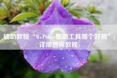 辅助教程“WePoker辅助工具哪个好用”(详细透视教程)