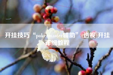 开挂技巧“pokermaster辅助”(透视)开挂详细教程