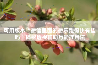 可用版本“微信里面的微乐跑得快有挂吗	”揭秘透视辅助万能挂用法