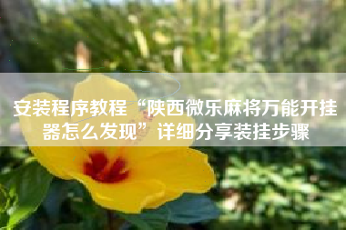 安装程序教程“陕西微乐麻将万能开挂器怎么发现	”详细分享装挂步骤