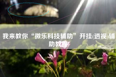 我来教你“微乐科技辅助”开挂(透视)辅助教程!