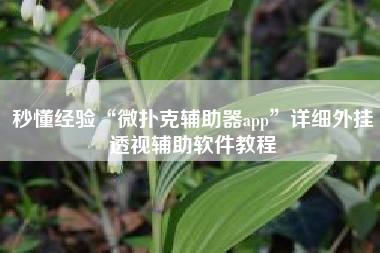 秒懂经验“微扑克辅助器app	”详细外挂透视辅助软件教程
