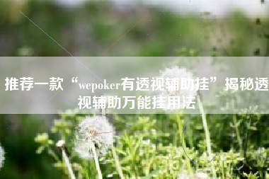 推荐一款“wepoker有透视辅助挂”揭秘透视辅助万能挂用法