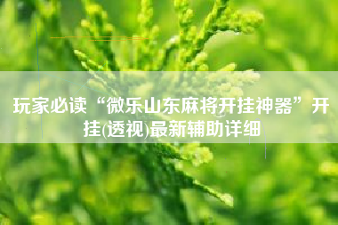 玩家必读“微乐山东麻将开挂神器”开挂(透视)最新辅助详细
