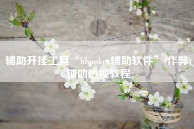 辅助开挂工具“hhpoker辅助软件	”(作弊)辅助透视教程