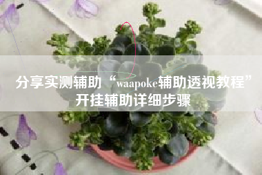 分享实测辅助“waapoke辅助透视教程	”开挂辅助详细步骤