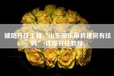 辅助开挂工具“山东微乐麻将建房有挂吗”(详细开挂教程)