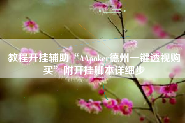 教程开挂辅助“AApoker德州一键透视购买”附开挂脚本详细步