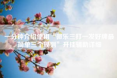 一分钟介绍使用“微乐三打一发好牌最简单三个规则”开挂辅助详细