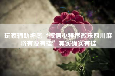 玩家辅助神器“微信小程序微乐四川麻将有没有挂”其实确实有挂