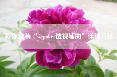 教你安装“wepoker透视辅助”详细开挂