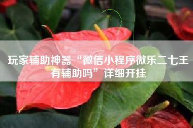 玩家辅助神器“微信小程序微乐二七王有辅助吗”详细开挂