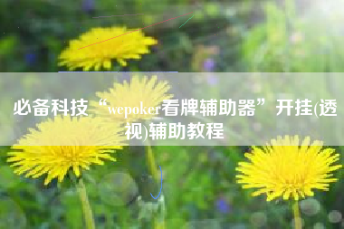 必备科技“wepoker看牌辅助器”开挂(透视)辅助教程