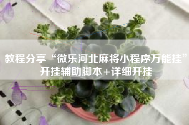 教程分享“微乐河北麻将小程序万能挂”开挂辅助脚本+详细开挂