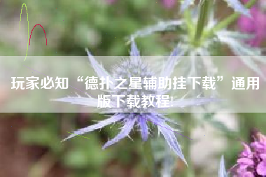 玩家必知“德扑之星辅助挂下载”通用版下载教程!