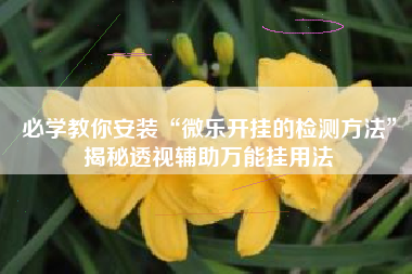 必学教你安装“微乐开挂的检测方法	”揭秘透视辅助万能挂用法