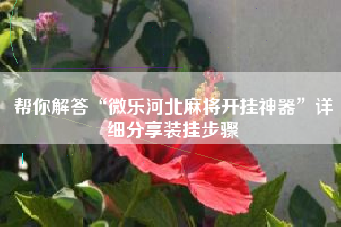 帮你解答“微乐河北麻将开挂神器	”详细分享装挂步骤