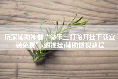 玩家辅助神器“微乐三打哈开挂下载安装免费”(透视挂)辅助透视教程