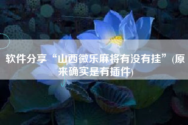 软件分享“山西微乐麻将有没有挂”(原来确实是有插件)