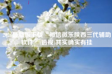 2026最新版下载“微信微乐陕西三代辅助软件	”(透视)其实确实有挂