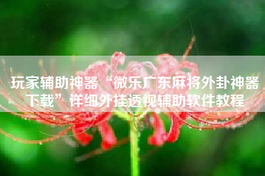 玩家辅助神器“微乐广东麻将外卦神器下载	”详细外挂透视辅助软件教程