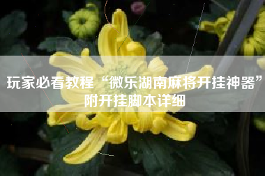 玩家必看教程“微乐湖南麻将开挂神器”附开挂脚本详细