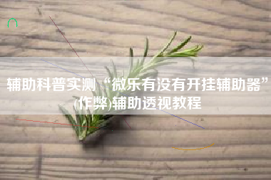 辅助科普实测“微乐有没有开挂辅助器	”(作弊)辅助透视教程