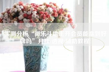 实测分析“微乐斗地主开会员能拿到好牌吗”开挂(透视)辅助教程!