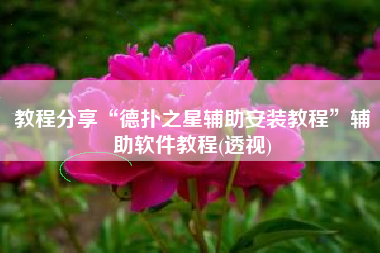 教程分享“德扑之星辅助安装教程”辅助软件教程(透视)