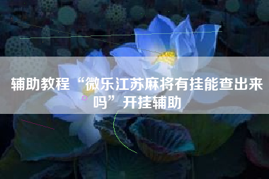 辅助教程“微乐江苏麻将有挂能查出来吗	”开挂辅助