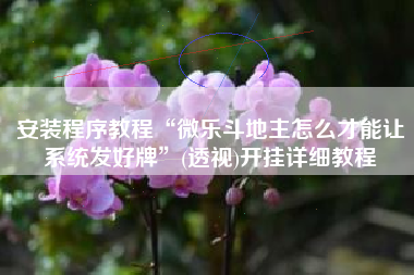 安装程序教程“微乐斗地主怎么才能让系统发好牌”(透视)开挂详细教程