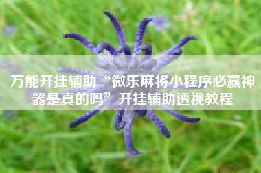 万能开挂辅助“微乐麻将小程序必赢神器是真的吗”开挂辅助透视教程