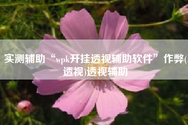 实测辅助“wpk开挂透视辅助软件	”作弊(透视)透视辅助