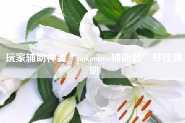 玩家辅助神器“pokemmo辅助器”开挂辅助