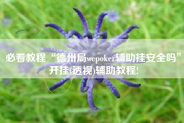 必看教程“德州局wepoker辅助挂安全吗”开挂(透视)辅助教程!