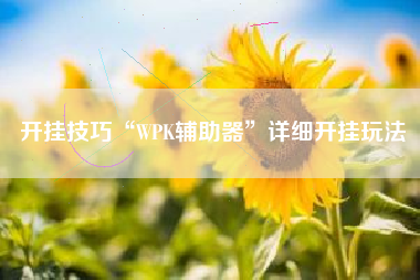 开挂技巧“WPK辅助器”详细开挂玩法